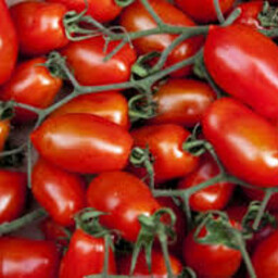 Pomodoro Piccadilly